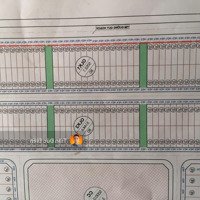 Bán 60M Đất Tái Định Cư Trâu Quỳ, Hướng Đông Nam Thoáng Mát, Đường 13M Có Vỉa Hè, Giá Nhỉnh 10 Tỷ