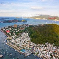 Một Lô Duy Nhất Đất Biệt Thự Kđt An Viên Sát Biển, Phường Vĩnh Trường, Tp Nha Trang Chỉ 85 Triệu/M2