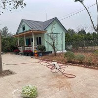 Đất Vườn Xen Kẹt Dân Cư Khu Chùa Thầy - Quốc Oai
