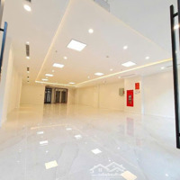 Bán Gấp Mp Quang Trung, Vị Trí Đắc Địa, 7T Thang Máy, Sẵn Dòng Tiền 60 Triệu/Tháng, Giá Nhỉnh 2X Tỷ