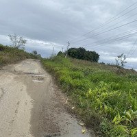 Chủ Kẹt Tiền Cần Bán Rãy Tâm Huyết, Đả Ck Fun Vãi Và Nhãn,Nguồn Thu Mạnh,Ở Huyện Eakar
:L0931444429