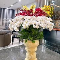 Bán Nhà Ngõ 61 Phạm Tuấn Tài, Đặng Thuỳ Trâm, Ô Tô Tránh, Thang Máy, Dòng Tiền, Kinh Doanh.diện Tích59M2
