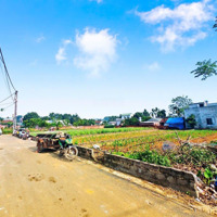 Chính Chủ Cần Bán Gấp Lô Đất 246M Lô Góc Hai Mặt Tiền Tại Thôn 3 Phú Cát Quốc Oai Hà Nội Giá Rẻ