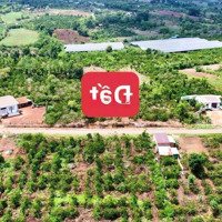 Ea Drông-Buôn Hồ Diện Tích Hơn 600M2 Ngang Tận 10M Quy Hoạch Đất Ở Mặt Tiền Nhựa Lớn Chỉ 239 Triệu
