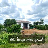 Ea Drông-Buôn Hồ Diện Tích Hơn 600M2 Ngang Tận 10M Quy Hoạch Đất Ở Mặt Tiền Nhựa Lớn Chỉ 239 Triệu