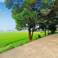 Chính Chủ Cần Bán Lô Đất Trung Tâm Hoà Lạc 180M2 Mặt Tiền 8,5M Tại Phú Cát Quốc Oai Hà Nội