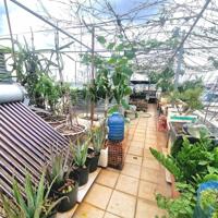 Nhà phố Lã Xuân Oai, Tăng Nhơn Phú A, Thủ ĐứcÔ tô tránh - 84,5m2, 4 Tầngnhỉnh nhẹ 6 tỷ (TL)