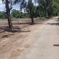 Bán Đất 9.5560M2 Có 3000M2 Thổ Cư Đất Tại Bình Chánh