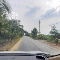Đất Thổ Cư (Sổ Hồng 2022), Mặt Tiền Đường Nhựa Lớn Trần Văn Ngàn, Tp. Tân An.