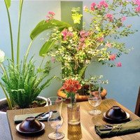 Bán Biệt Thự Thảo Điền Villa, 405M2, Dòng Tiền 1 Tỷ/Năm, Giá Chỉ 70 Tỷ.