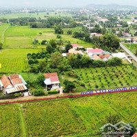 Bán Đất 232M2 Giá Cực Chất Tại Ninh Thọ, Ninh Hòa, Khánh Hòa