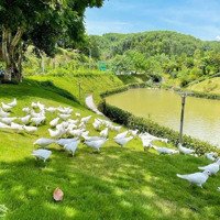 Căn Góc Views Hồ Đẹp Và 3 Mặt Tiền Thoáng Giá Tốt 8 Tỷ Duy Nhất Dự Án Ivory Hòa Bình Đang Làm Sổ