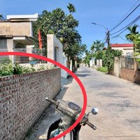 Cực Hiếm! Lô Đất 140M Xây Biệt Thự Cực Đẹp Kiến Phong, Đồng Thái, An Dương