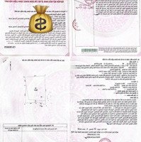 1,65 Tỷ Cho Căn Chung Cư Mini 2Ngủ Có Sổ Hồng Đồng Sở Hữu