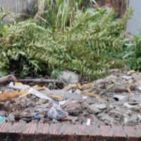 Bán Gấp Đất Nền Tại Xã Nguyên Khê, Đông Anh, Hà Nội Giá Bán 5,4 Tỷ, 85 M2 Đẹp Xuất Sắc
