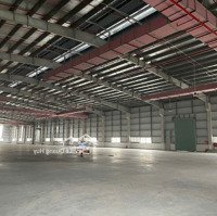 Cho Thuê Nhà Xưởng 3.500M Tại Tiền Hải, Thái Bình Giá Chỉ 3.5 Usd/M Làm Được Fdi Pccc Đạt Chuẩn