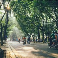 N.hà Mặt Phố Cổ- Trung Tâm Ba Đình -Kinh Doanh Bất Chấp Mọi Nghành Nghề - Gần Hồ Trúc Bạch
