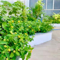 Một Căn Duy Nhất 200M2 Có Sân Vườn Riêng Trên Cao - Vip Nhất Toà Nhà Scenia Bay Nha Trang