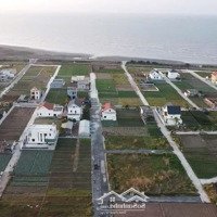 Đất Đầu Tư Mặt Biển Quất Lâm Trước Mặt Dự Án Flamingo, Kế Cạnh Kcn V-Sip 10 Triệu/M2 Sẵn Sổ 0961286388