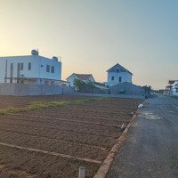 Đất Đầu Tư Mặt Biển Quất Lâm Trước Mặt Dự Án Flamingo, Kế Cạnh Kcn V-Sip 10 Triệu/M2 Sẵn Sổ 0961286388