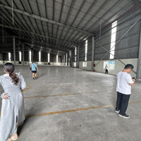Cho Thuê Nhà Xưởng Khu Công Nghiệp Đồng Nai