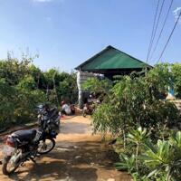 Bán nhà vườn 1.1 ha xã Hưng Thịnh, Trảng Bom, Đồng Nai