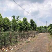 Bán nhà vườn 1.1 ha xã Hưng Thịnh, Trảng Bom, Đồng Nai