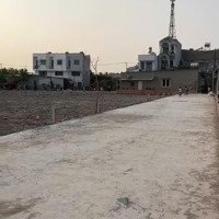 Đất Thạnh Xuân 48, Quận 12 Chốt Cọc 2 Tuần Ra Sổ