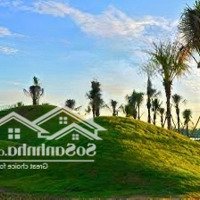 Bán Lô Đất Mặt Tiền Mai Chí Thọ - Hoà Xuân Sát Góc Ngã Tư Giá Đầu Tư 5.X Tỷ