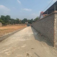 Chủ Cần Tiền Gửi Bán Gấp 116M2 Full Thổ Cư Tại Thái Lai, Minh Trí, Sóc Sơn Ngõ Ô Tô Vào