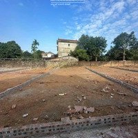 Chủ Cần Tiền Gửi Bán Gấp 116M2 Full Thổ Cư Tại Thái Lai, Minh Trí, Sóc Sơn Ngõ Ô Tô Vào