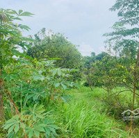 1200M Bám Suối Giá Rẻ Tại Hoà Bình