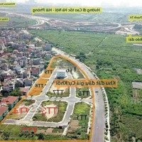 Cần Bán Đất Đấu Giá Cự Khối Long Biên Hà Nội.