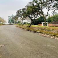 TĐC VAI RÉO CẠNH KHU ĐÔ THỊ CAO CẤP PHÚ CÁT CITY
