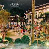 Bán Khu Tổ Hợp Nhà Hàng- Cafe - Tổ Chức Sự Kiện - Tiệc Cưới Cực Hiếm - Gò Vấp 5.524M2 - 368Tỷ Tl