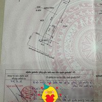 Mặt Tiền Đường Kinh Doanh - Tại Phước Đông, Gò Dầu, Tây Ninh