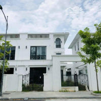 Bán Gấp Biệt Thự Tại Làng Việt Kiều Hải Phòng, Giá Ưu Đãi 12,95 Tỷ, Diện Tích 240M2