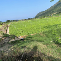 Bán Đất Biển Ninh Vân Giá Đầu Tư