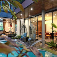 Bt 5T Kiên Cố 8 Phòng Ngủ+ Wc Khép Kín, Hồ Bơi, Tm ~300M2Mặt Tiền10M View Sông Hàn Pháo Hoa Dòng Tiền 1Tỷ/Năm