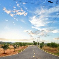 Bán Đất Đường Trần Quốc Toản Tân Định, Bến Cát, Bd, Giá Bán 1,2 Tỷ/Nền Có Hỗ Trợ 3 Bên