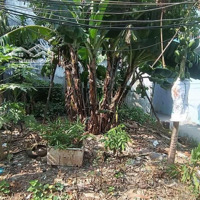 Bán Đất Miêu Nha - Tây Mỗ - 33M2 - Lô Góc - Gần Ôtô Tránh - An Sinh Đỉnh Cao - Chỉ 3,7 Tỷ