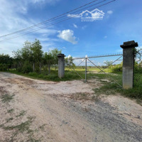Cần Chuyển Nhượng Lô Đất 2Ha Huyện Đức Hòa, Long An