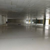 Cho Thuê Nhà Xưởng Tại Đà Nẵng