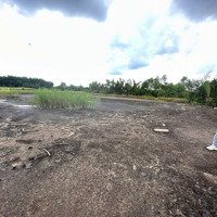 Chính Chủ Cần Bán 1000M2 Đất Giá Bán 2,5 Tỷ, Xã Bình Khánh, Cần Giờ, Tphcm