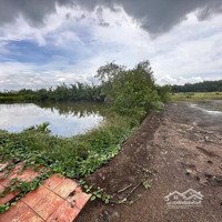Chính Chủ Cần Bán 1000M2 Đất Giá Bán 2,5 Tỷ, Xã Bình Khánh, Cần Giờ, Tphcm