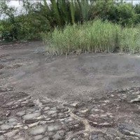 Chính Chủ Cần Bán 1000M2 Đất Giá Bán 2,5 Tỷ, Xã Bình Khánh, Cần Giờ, Tphcm