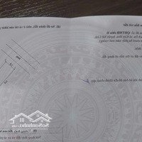 Đất Đấu Giá Bạch Đa, Kim Hoa, Mê Linh