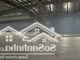 Kho Xưởng Kcn Nam Sách. Mới 100%, 1000M2 Đến 20.000M2, Pccc Tự Động, Fdi/Epe, Miễn Thuế, 65K/Th/M2