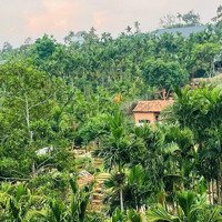Bán Căn Villa Sịn Xò Tại Hoà Thắng, Tp. Buôn Ma Thuột - Giá Bán 3,1 Tỷ