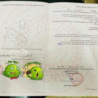 Lô Góc Trục Chính Phượng Đồng- Phụng Châu